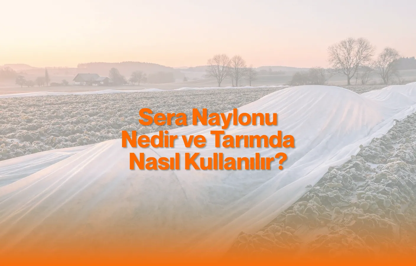 Sera Naylonu Nedir ve Tarımda Nasıl Kullanılır