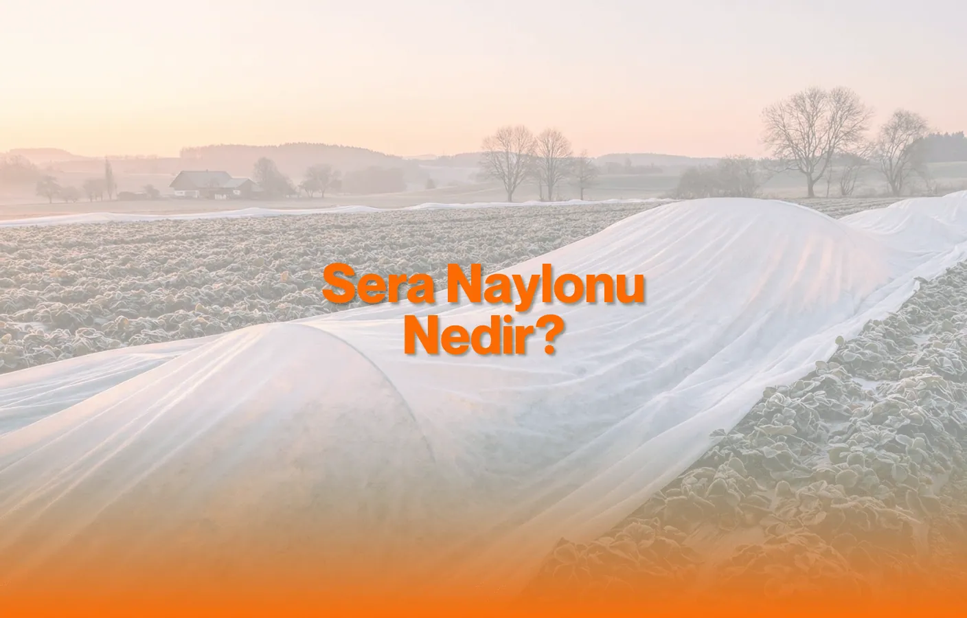 Sera Naylonu